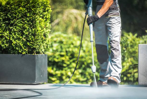 Best Dumpster Area Cleaning  in Gotha, FL