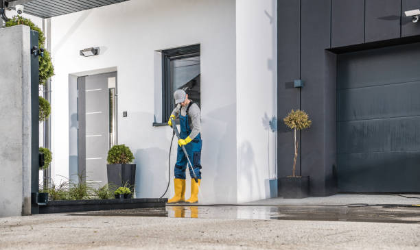 Best Roof Washing  in Gotha, FL